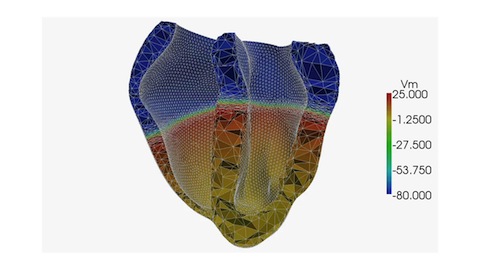 University of Oxford: A computer model of the heart